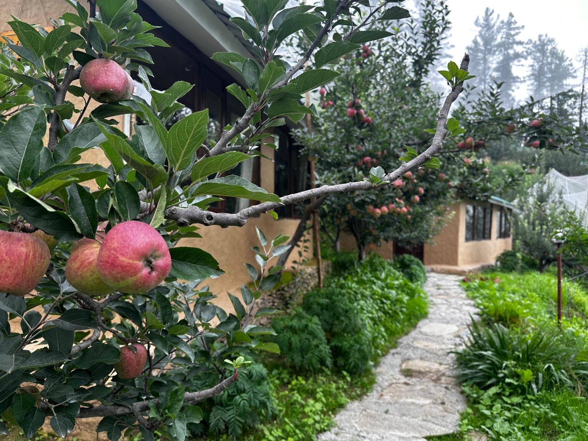 Daak Bangla Retreat Hotel Kufri Luaran gambar
