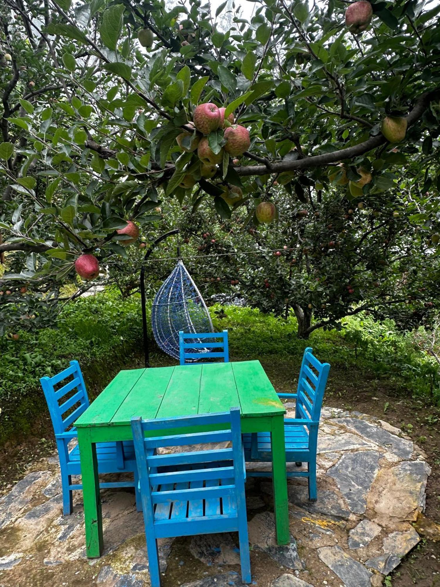 Daak Bangla Retreat Hotel Kufri Luaran gambar