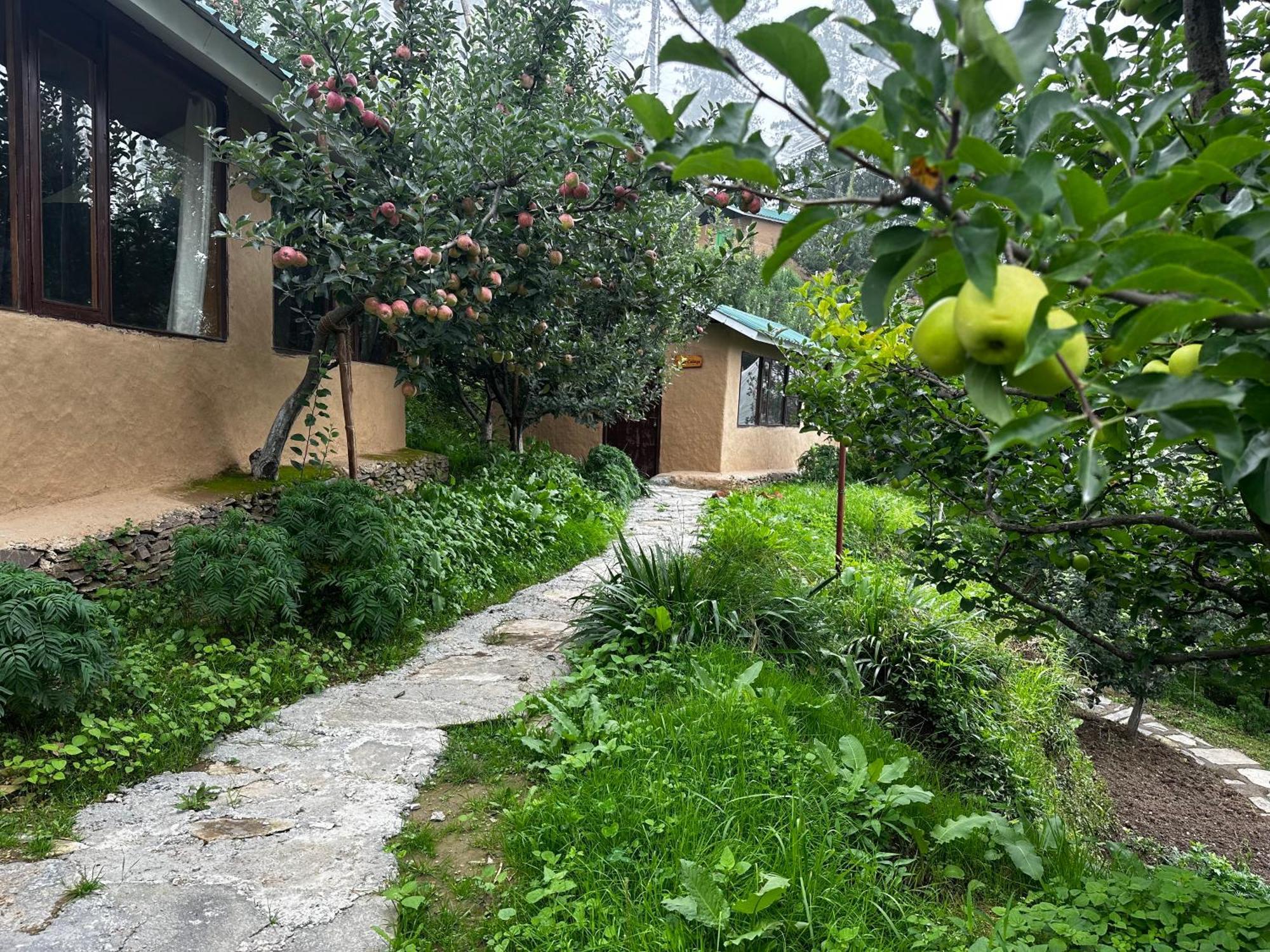 Daak Bangla Retreat Hotel Kufri Luaran gambar